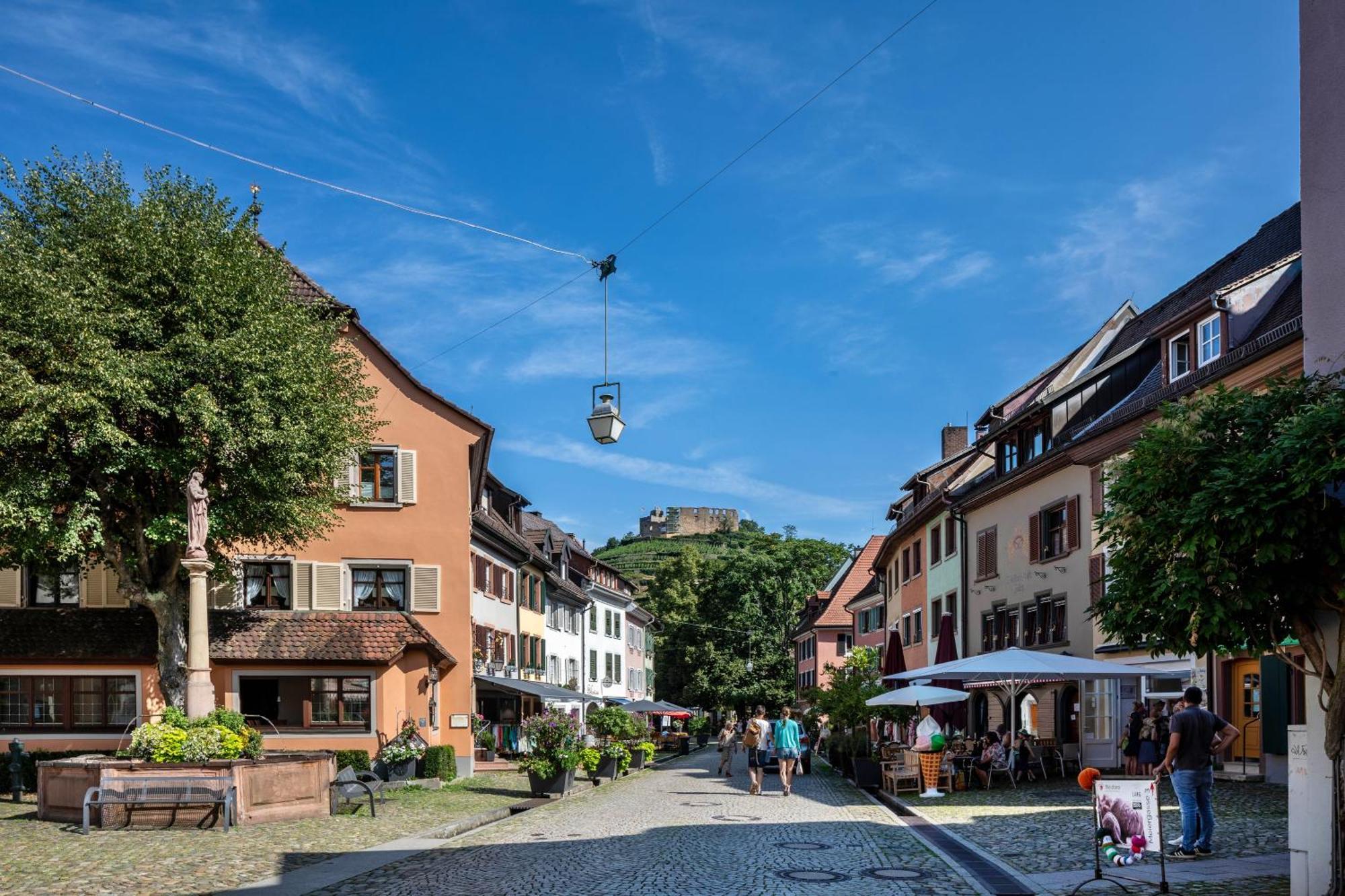 Ferienwohnung Am Neumagen Staufen im Breisgau Exterior foto